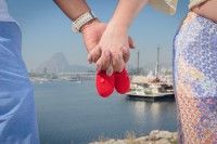 /album/galeria-de-fotos5/dsc1678-jpg/